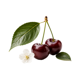 Cereza