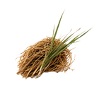 Vetiver