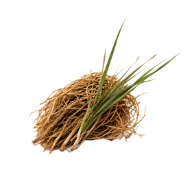 Vetiver