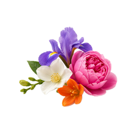 Notas florales