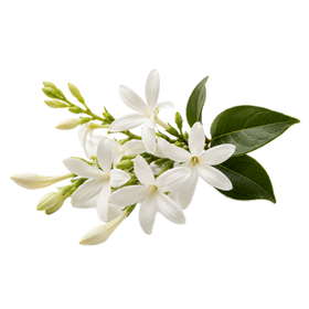 Hediona
