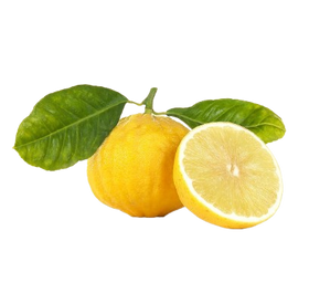 Bergamota