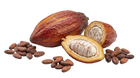 Cacao