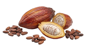 Cacao