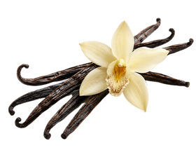 Vainilla Bourbon