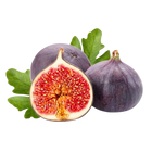 Fig