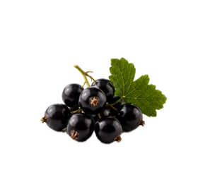 Grossella negra