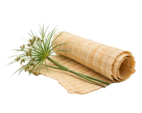 Egyptian papyrus