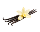 Vainilla